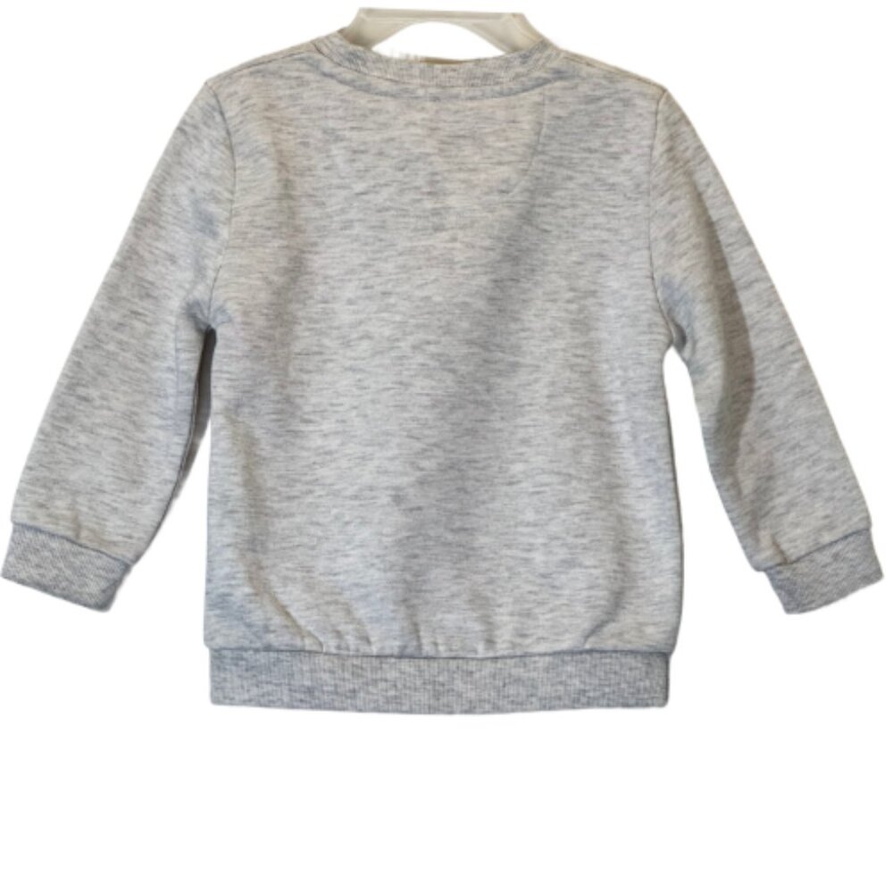 Boy's Sweatshirts Set of 3 Size 2-3Y - Picture 9 of 13